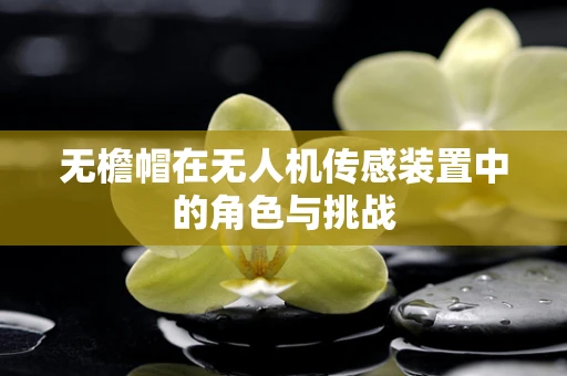 无檐帽在无人机传感装置中的角色与挑战