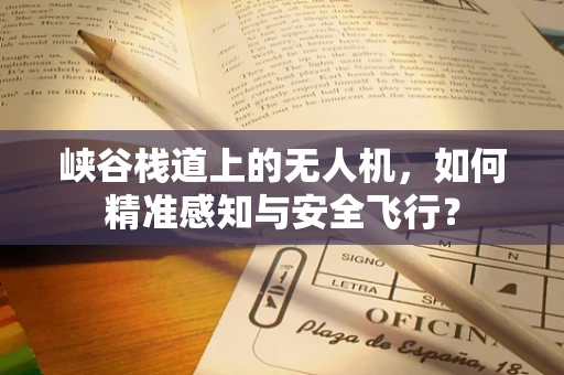 峡谷栈道上的无人机，如何精准感知与安全飞行？