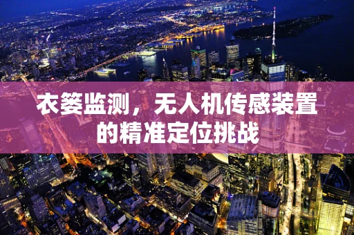 衣篓监测，无人机传感装置的精准定位挑战