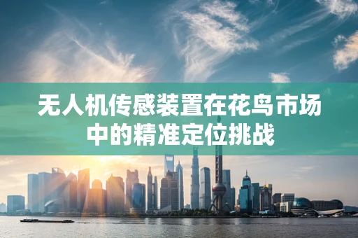无人机传感装置在花鸟市场中的精准定位挑战
