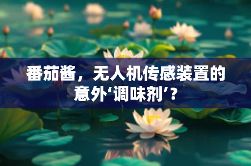 番茄酱，无人机传感装置的意外‘调味剂’？