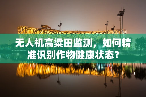 无人机高粱田监测，如何精准识别作物健康状态？