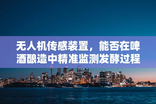 无人机传感装置，能否在啤酒酿造中精准监测发酵过程？