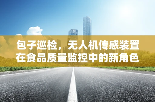 包子巡检，无人机传感装置在食品质量监控中的新角色？