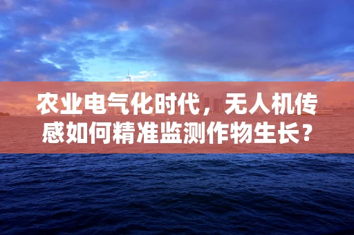 农业电气化时代，无人机传感如何精准监测作物生长？