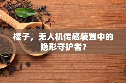 榛子，无人机传感装置中的隐形守护者？