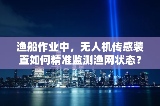 渔船作业中，无人机传感装置如何精准监测渔网状态？