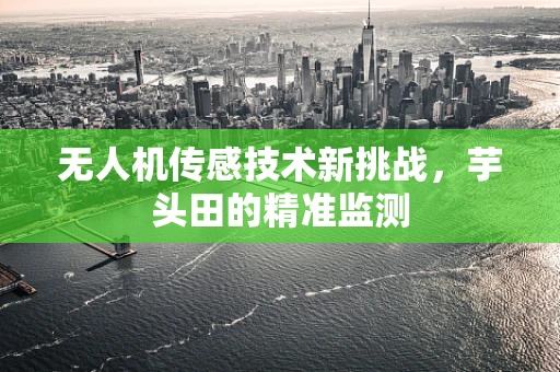 无人机传感技术新挑战，芋头田的精准监测