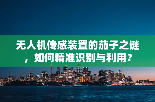 无人机传感装置的茄子之谜，如何精准识别与利用？