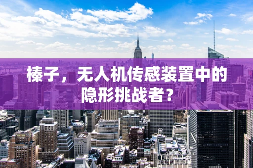榛子，无人机传感装置中的隐形挑战者？