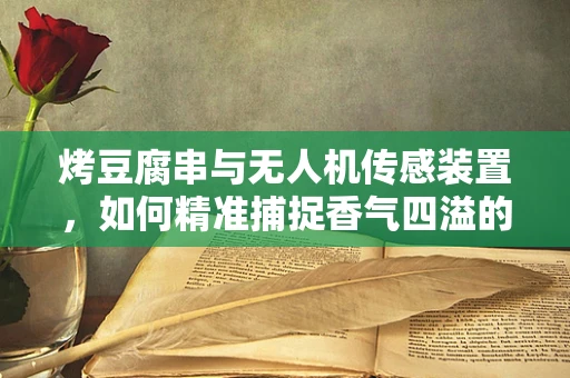 烤豆腐串与无人机传感装置，如何精准捕捉香气四溢的瞬间？