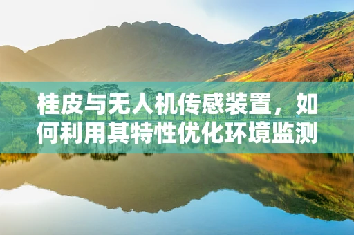 桂皮与无人机传感装置，如何利用其特性优化环境监测？