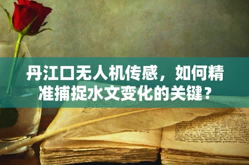 丹江口无人机传感，如何精准捕捉水文变化的关键？