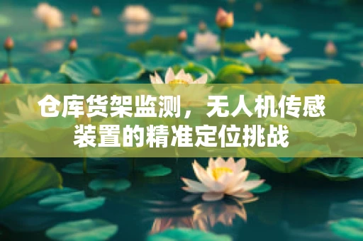 仓库货架监测，无人机传感装置的精准定位挑战