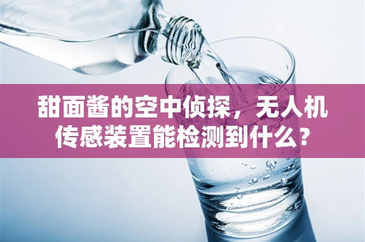 甜面酱的空中侦探，无人机传感装置能检测到什么？