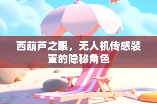 西葫芦之眼，无人机传感装置的隐秘角色