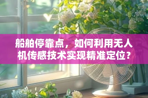 船舶停靠点，如何利用无人机传感技术实现精准定位？