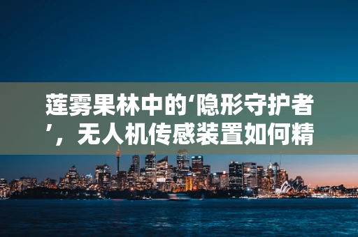莲雾果林中的‘隐形守护者’，无人机传感装置如何精准监测？