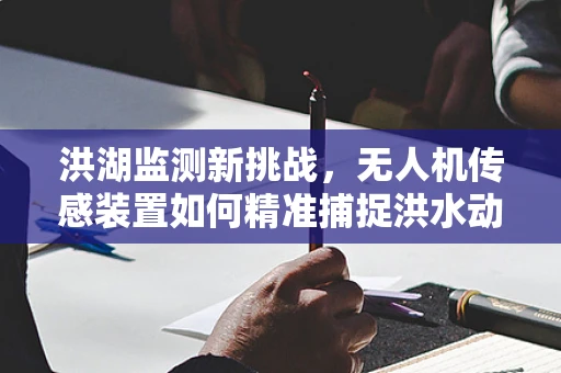 洪湖监测新挑战，无人机传感装置如何精准捕捉洪水动态？