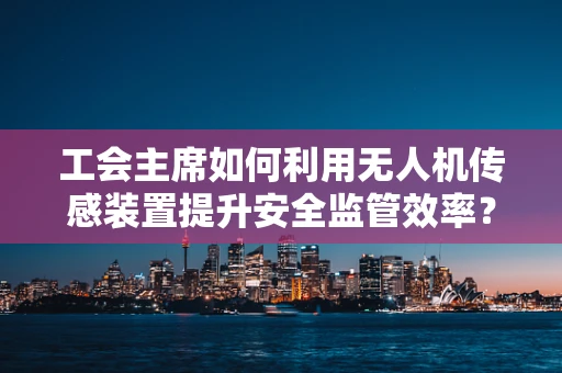 工会主席如何利用无人机传感装置提升安全监管效率？