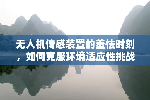 无人机传感装置的羞怯时刻，如何克服环境适应性挑战？