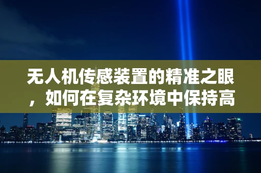 无人机传感装置的精准之眼，如何在复杂环境中保持高精度？