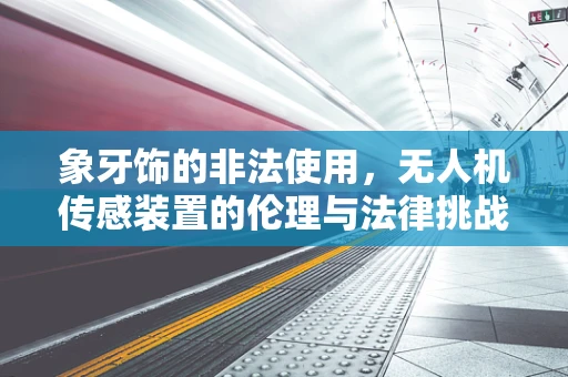 象牙饰的非法使用，无人机传感装置的伦理与法律挑战