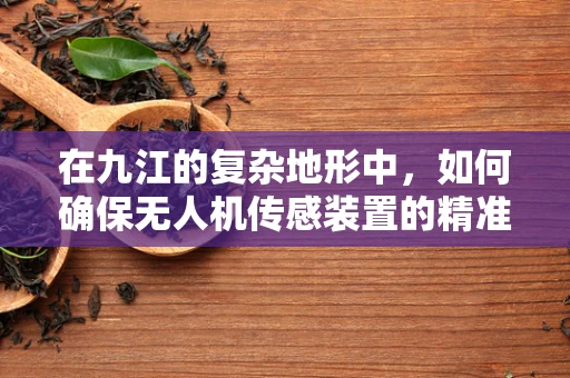 在九江的复杂地形中，如何确保无人机传感装置的精准性与稳定性？