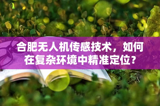 合肥无人机传感技术，如何在复杂环境中精准定位？