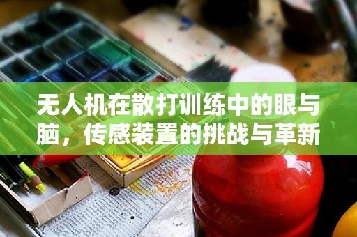 无人机在散打训练中的眼与脑，传感装置的挑战与革新