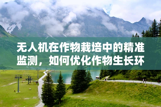 无人机在作物栽培中的精准监测，如何优化作物生长环境感知？