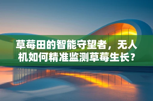 草莓田的智能守望者，无人机如何精准监测草莓生长？