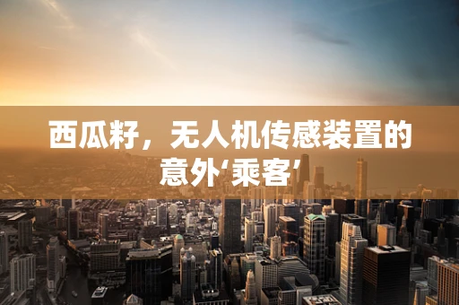 西瓜籽，无人机传感装置的意外‘乘客’