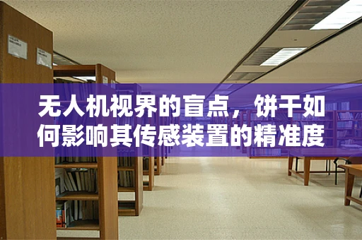 无人机视界的盲点，饼干如何影响其传感装置的精准度？