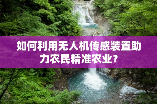 如何利用无人机传感装置助力农民精准农业？