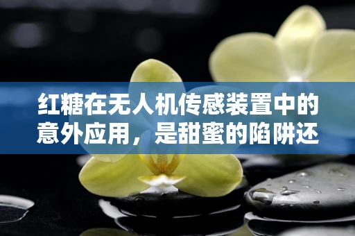 红糖在无人机传感装置中的意外应用，是甜蜜的陷阱还是创新的火花？