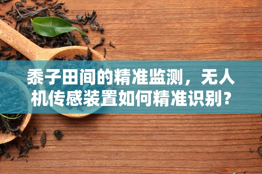 黍子田间的精准监测，无人机传感装置如何精准识别？