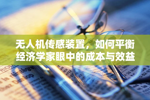 无人机传感装置，如何平衡经济学家眼中的成本与效益？