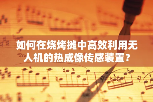 如何在烧烤摊中高效利用无人机的热成像传感装置？