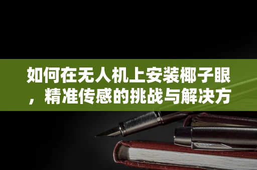 如何在无人机上安装椰子眼，精准传感的挑战与解决方案？
