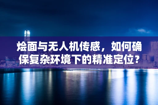烩面与无人机传感，如何确保复杂环境下的精准定位？