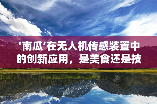 ‘南瓜’在无人机传感装置中的创新应用，是美食还是技术新宠？