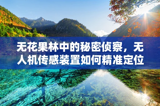 无花果林中的秘密侦察，无人机传感装置如何精准定位？