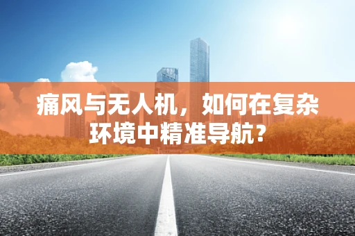 痛风与无人机，如何在复杂环境中精准导航？