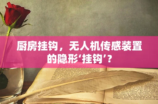 厨房挂钩，无人机传感装置的隐形‘挂钩’？