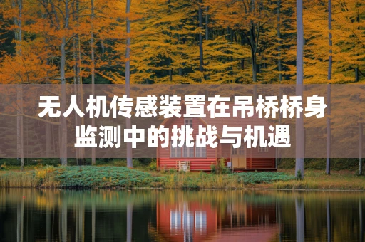 无人机传感装置在吊桥桥身监测中的挑战与机遇