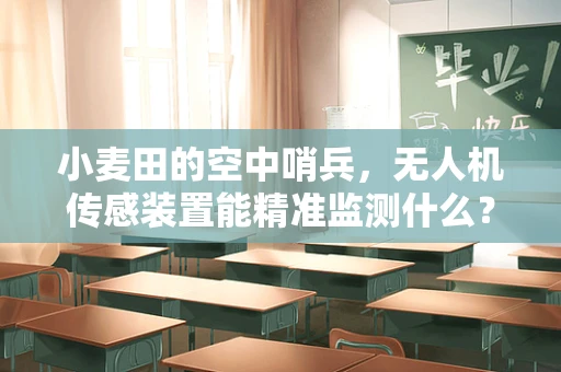 小麦田的空中哨兵，无人机传感装置能精准监测什么？