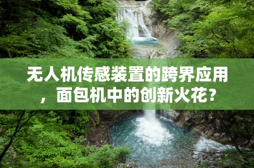 无人机传感装置的跨界应用，面包机中的创新火花？