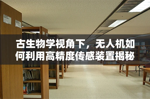 古生物学视角下，无人机如何利用高精度传感装置揭秘史前秘密？