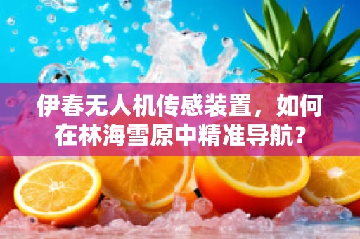 伊春无人机传感装置，如何在林海雪原中精准导航？